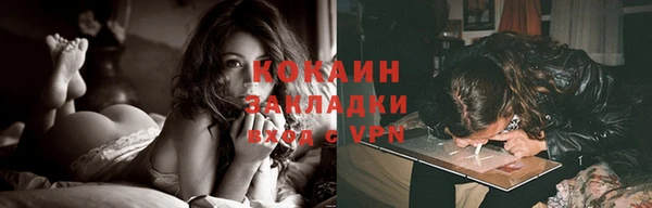 гашик Коряжма