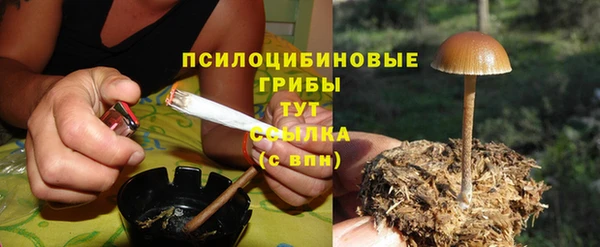 гашик Коряжма