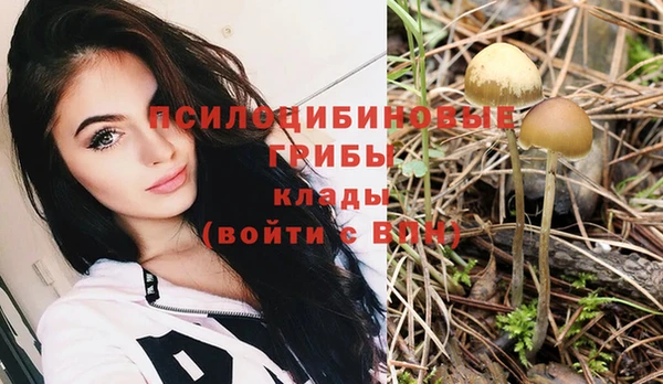 а пвп мука Кодинск